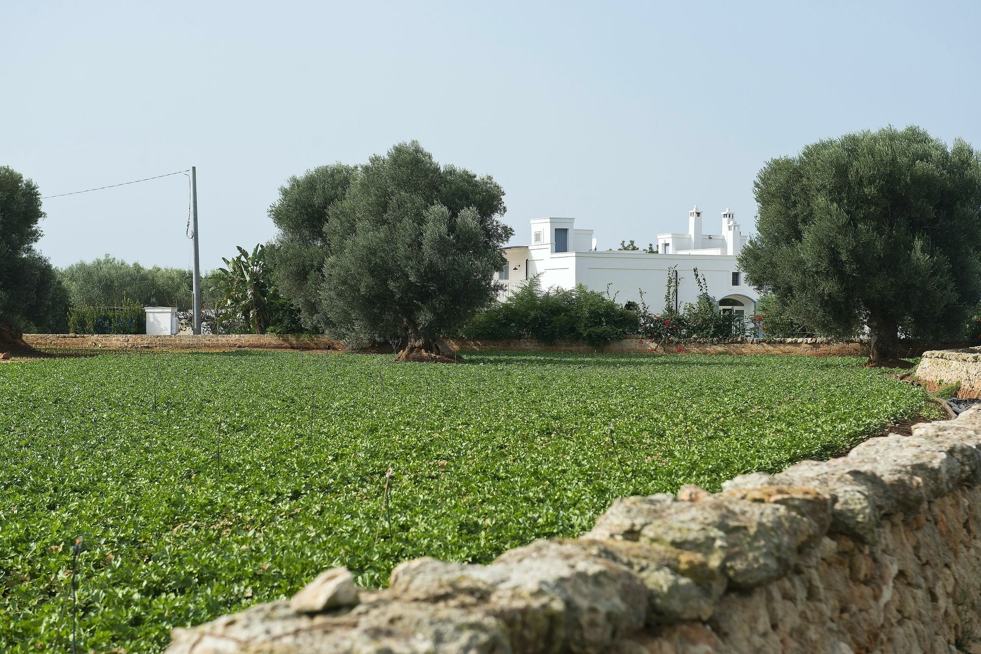 Masseria Don Luigi-Luxury Farmhouse Savelletri Bagian luar foto
